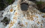 RNI Grotta Palombara. Una vaschetta di corrosione. Sono micro ambienti umidi, pozze scavate dall'azione corrosiva dell'acqua su affioramenti rocciosi calcarei