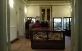 Museo Diodoro Siculo, visitatori per la Sagra della cassatella